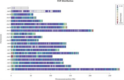 Genome-Wide Detection of Runs of Homozygosity in Laiwu Pigs Revealed by Sequencing Data